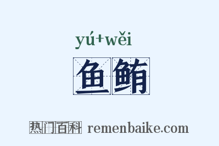鱼鲔是什么意思的图片